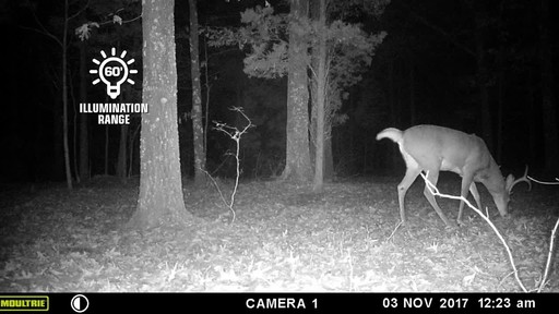 Moultrie A-25 Trail/Game Camera Bundle - image 5 from the video